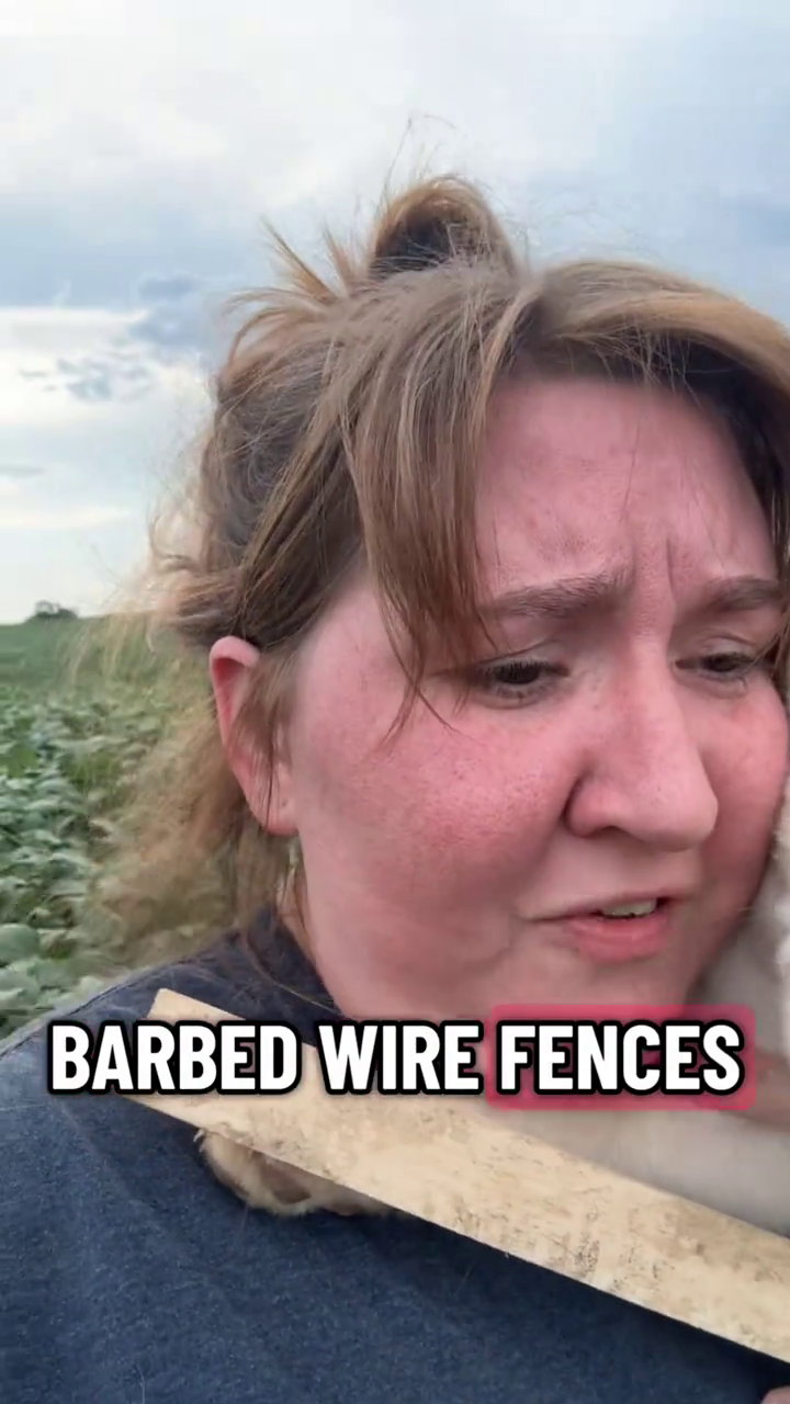 BARBED WIRE FENCES