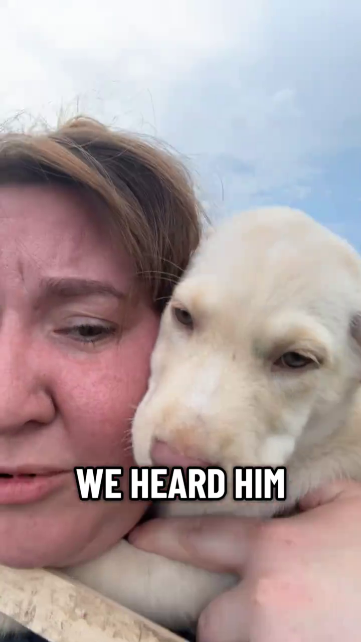 WE HEARD HIM