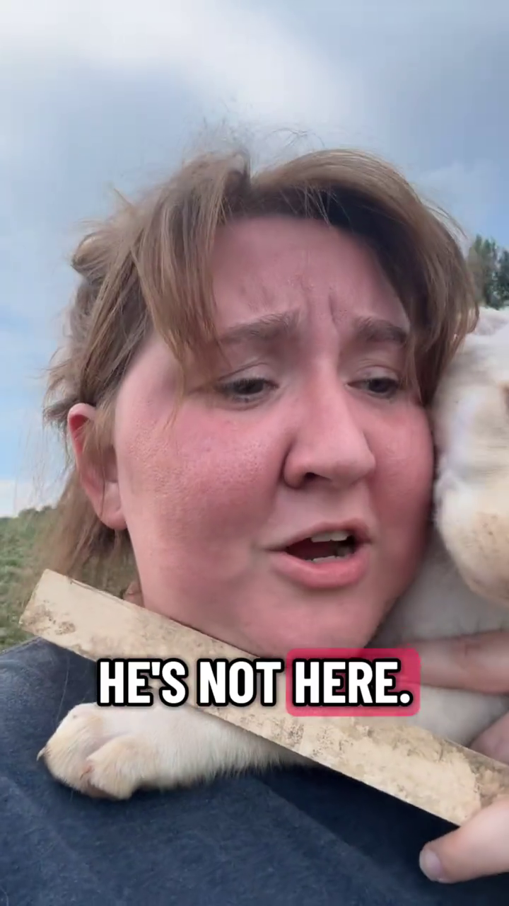 HE'S NOT HERE.