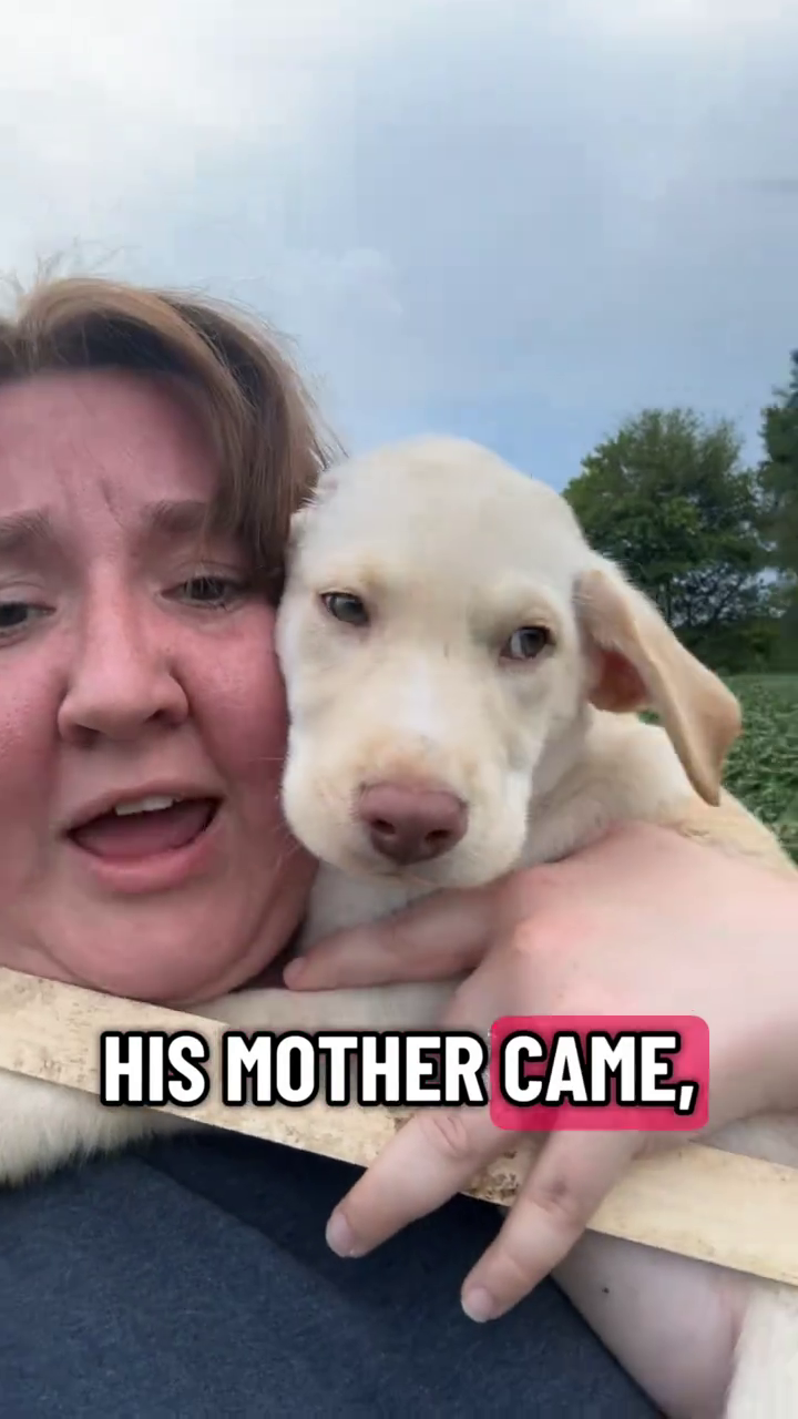 HIS MOTHER CAME,