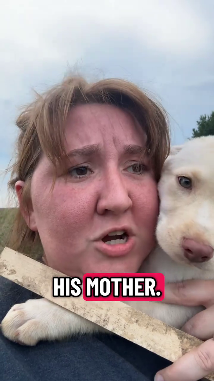HIS MOTHER.