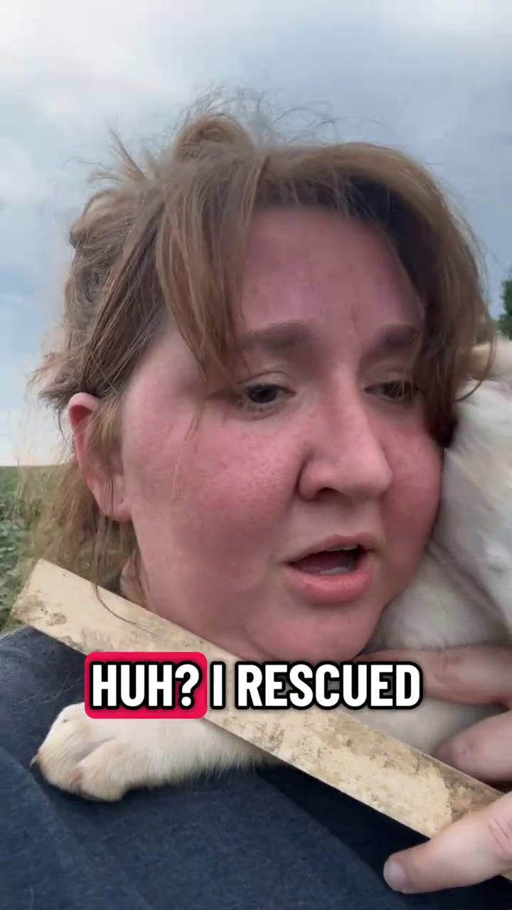 HUH? | RESCUED
