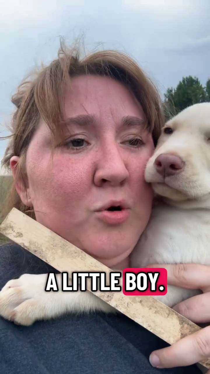 A LITTLE BOY.