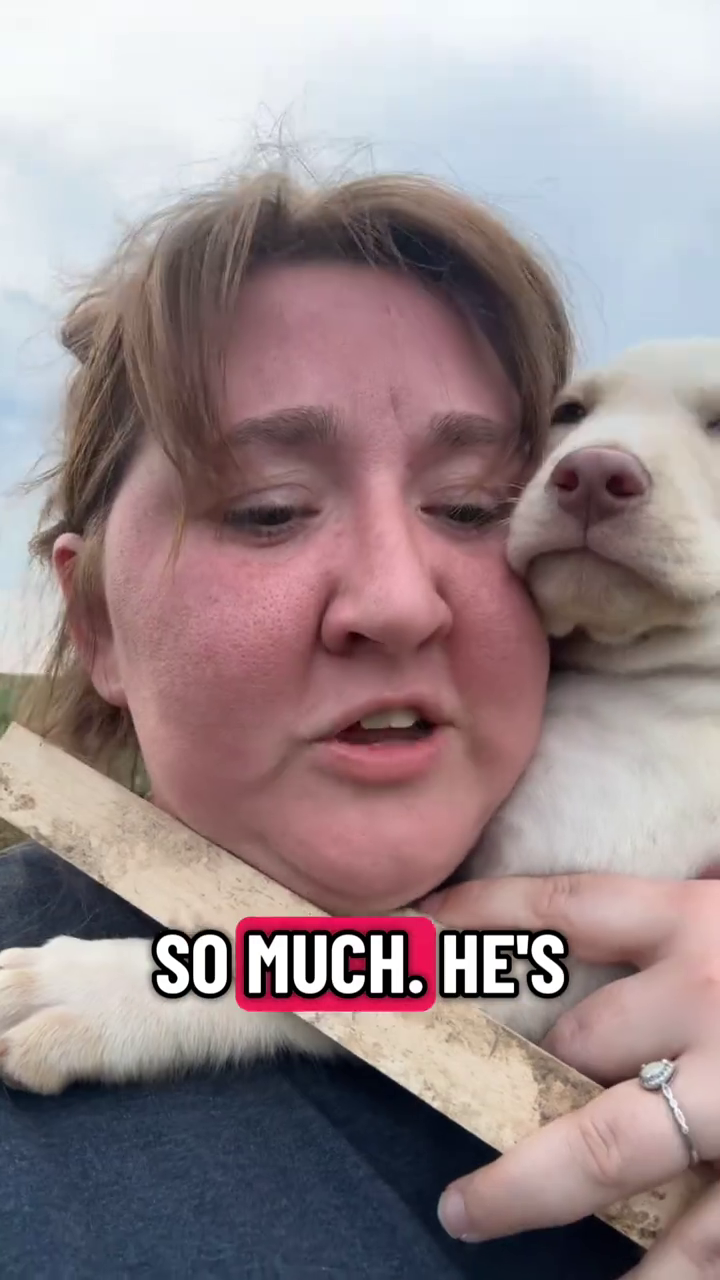 SO MUCH. HE'S