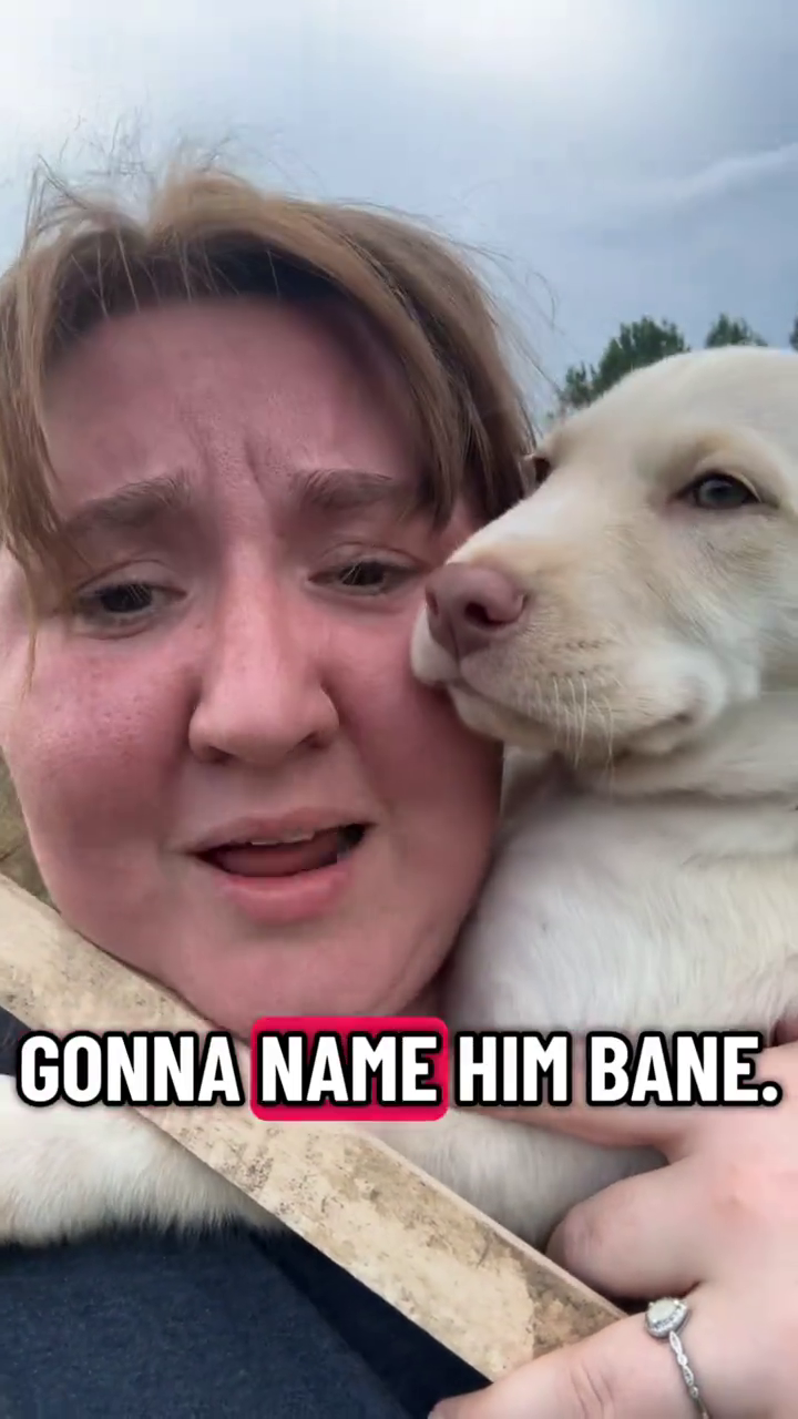 GONNA NAME HIM BANE.