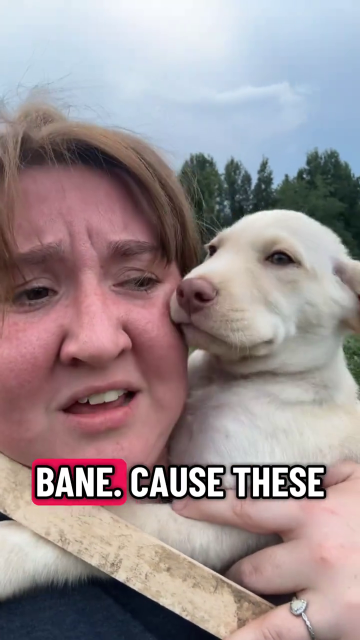 BANE. CAUSE THESE
