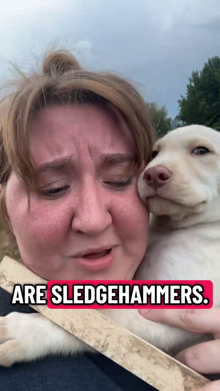 ARE SLEDGEHAMMERS.