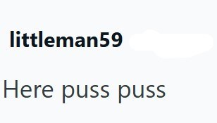 littleman59 Here puss puss