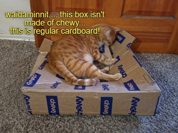 waidaminnit.... this box isn't made of chewy... this is regular cardboard! Aman chewy chewy wy chewy Chewy