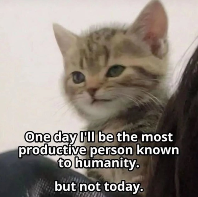 One day I'll be the most productive person known to humanity. but not today.