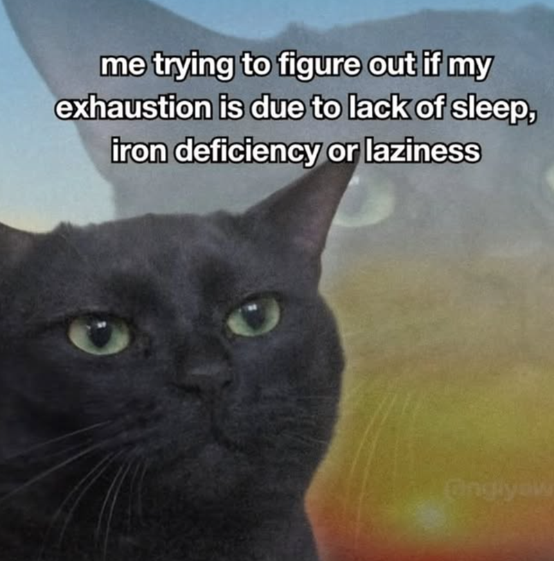me trying to figure out if my exhaustion is due to lack of sleep, iron deficiency or laziness Cinglyow