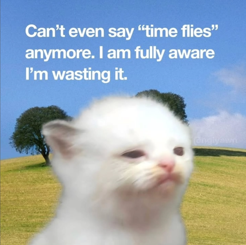 Can't even say "time flies" anymore. I am fully aware I'm wasting it. englyawn