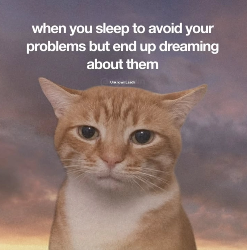 when you sleep to avoid your problems but end up dreaming about them UnknownLaadli