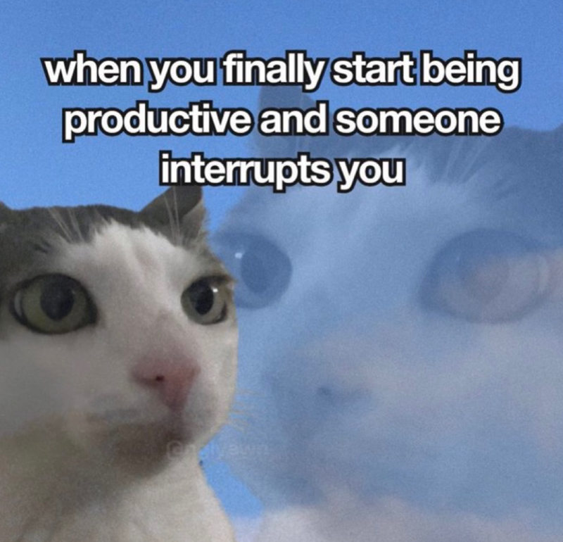 when you finally start being productive and someone interrupts you Ongiyawn