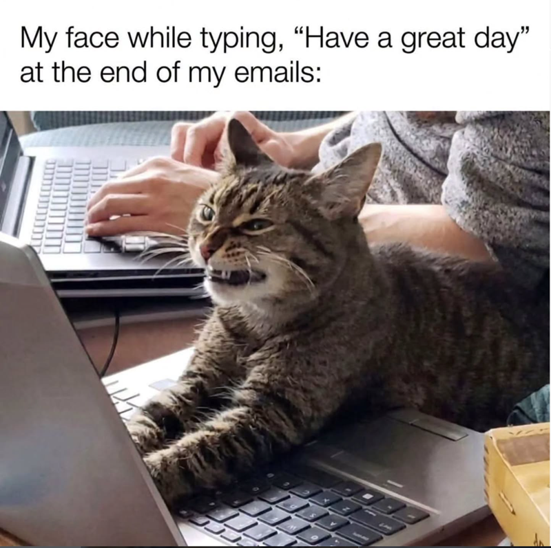 My face while typing, "Have a great day" at the end of my emails: