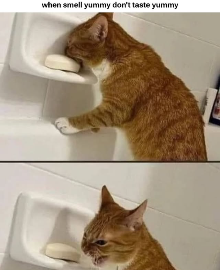 when smell yummy don't taste yummy