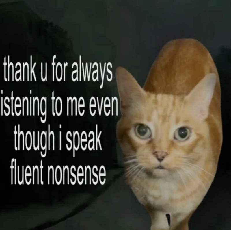 thank u for always istening to me even though i speak fluent nonsense