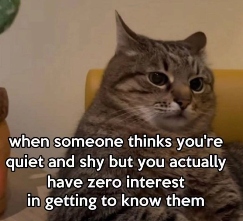 when someone thinks you're quiet and shy but you actually have zero interest in getting to know them