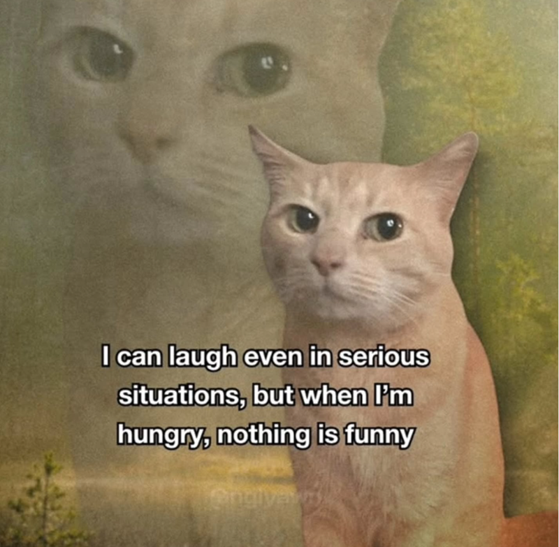 I can laugh even in serious situations, but when I'm hungry, nothing is funny engly