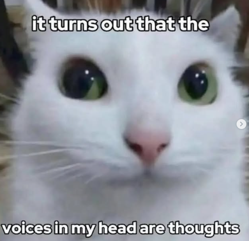 it turns out that the voices in my head are thoughts