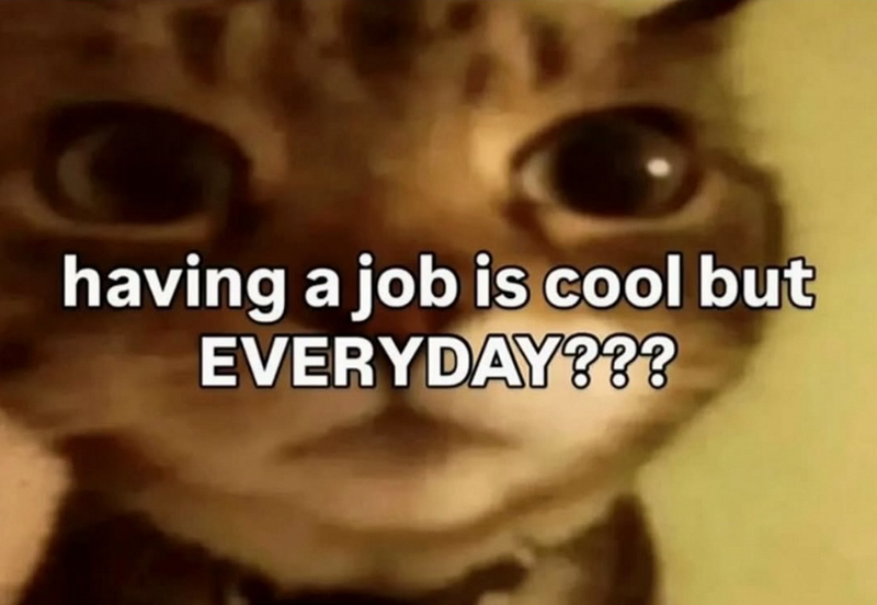having a job is cool but EVERYDAY???