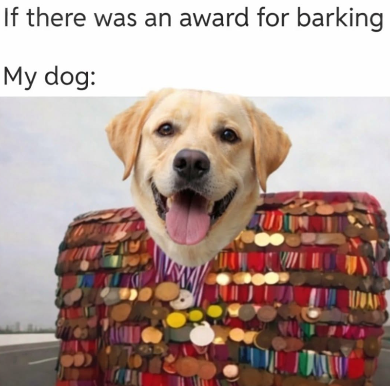 If there was an award for barking My dog:
