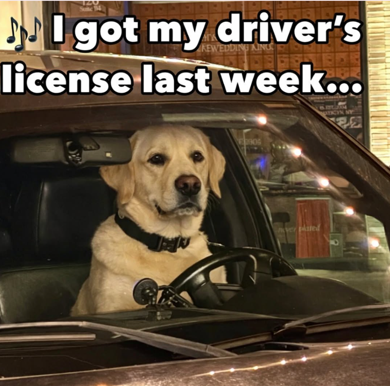 120 Suite 114 I got my driver's KEWEDDING KING license last week... 2005 ver plated