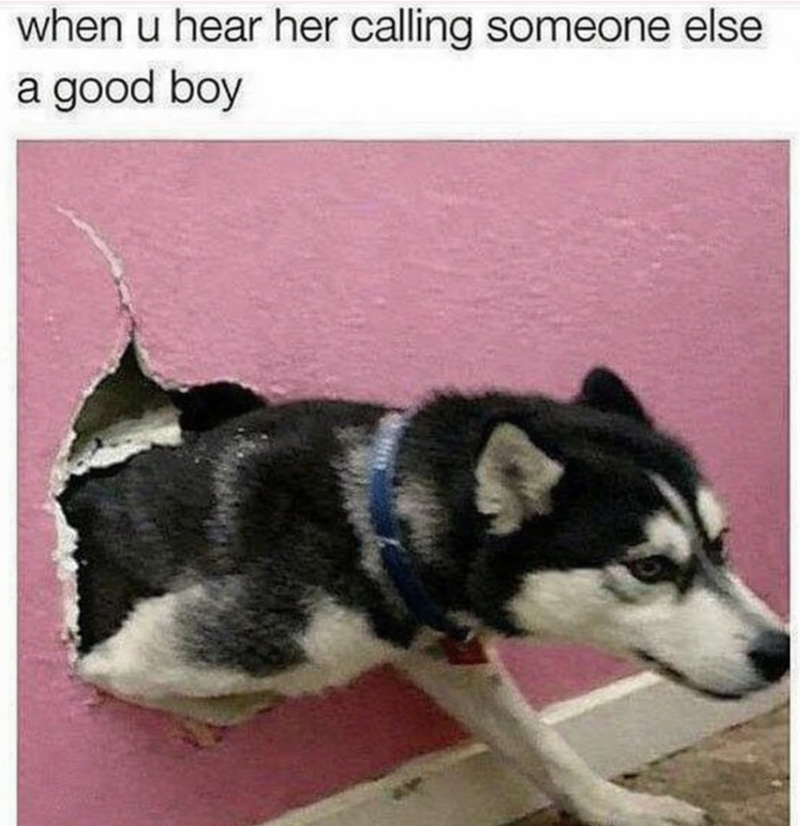when u hear her calling someone else a good boy