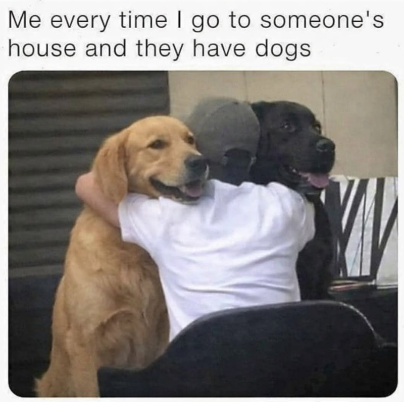 Me every time I go to someone's house and they have dogs.
