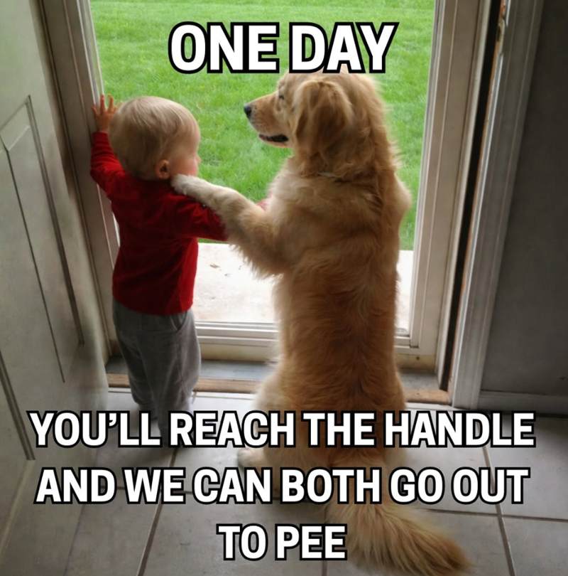 ONE DAY YOU'LL REACH THE HANDLE AND WE CAN BOTH GO OUT TO PEE