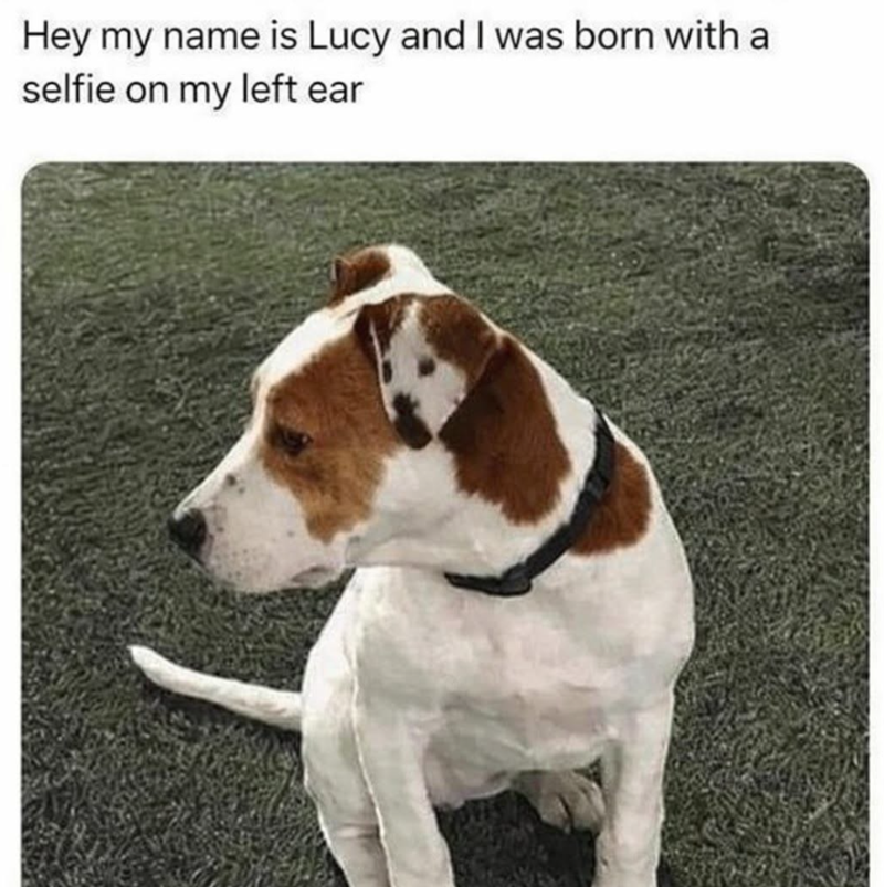 Hey my name is Lucy and I was born with a selfie on my left ear
