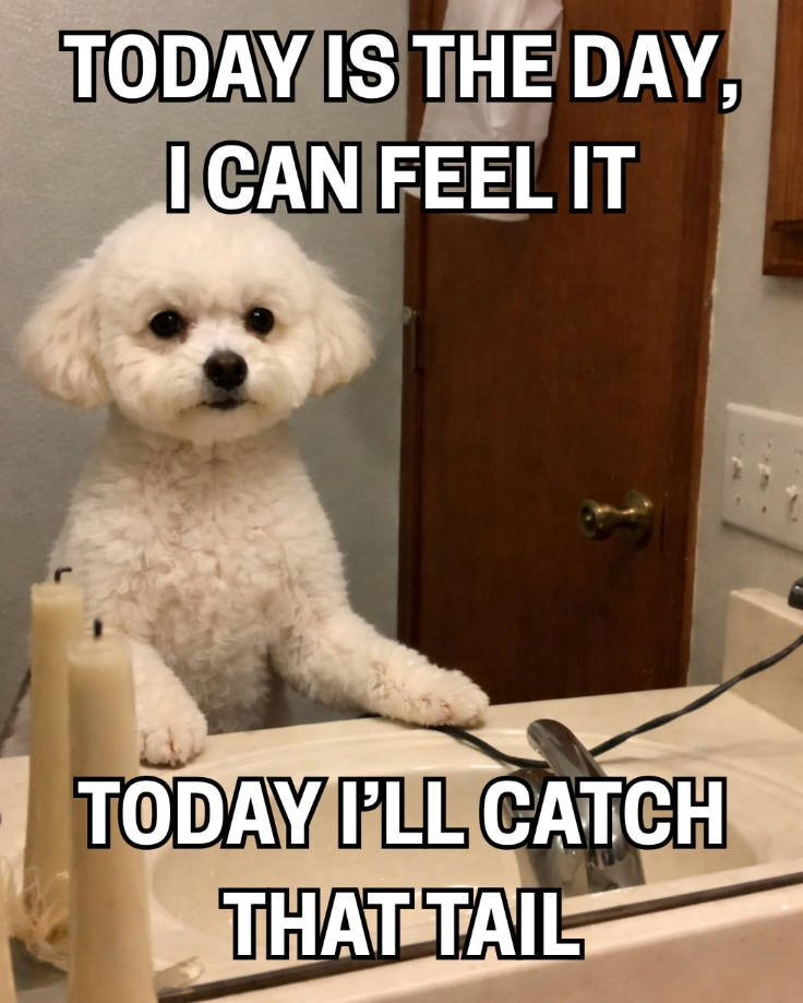 TODAY IS THE DAY, I CAN FEEL IT D TODAY I'LL CATCH THAT TAIL