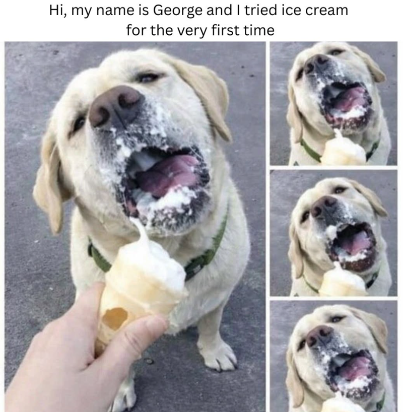 Hi, my name is George and I tried ice cream for the very first time