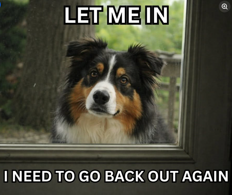 LET ME IN I NEED TO GO BACK OUT AGAIN