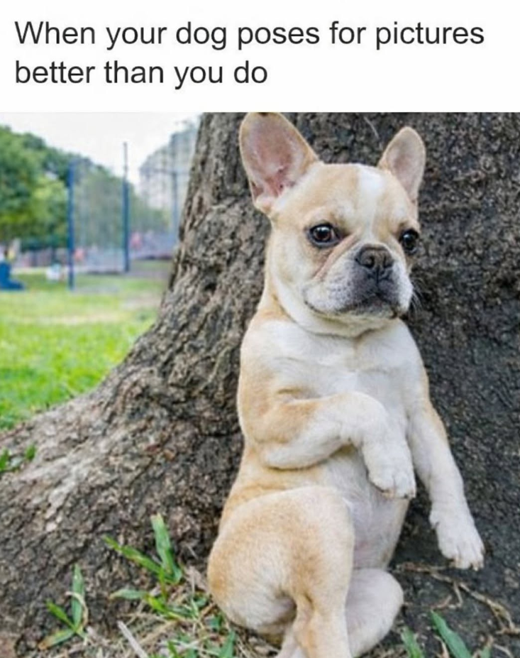 When your dog poses for pictures better than you do