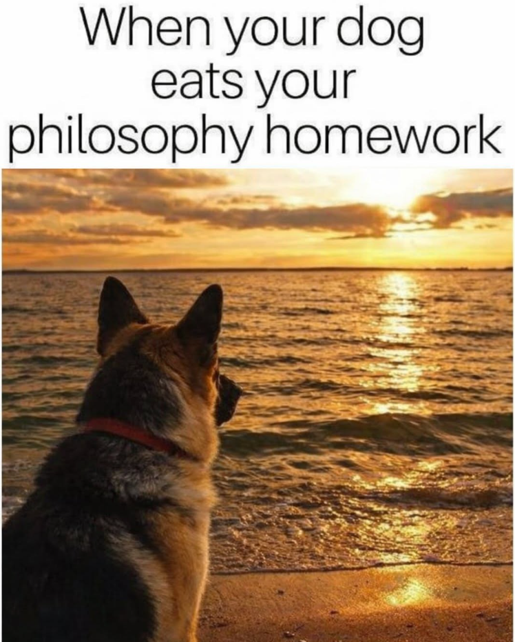When your dog eats your philosophy homework