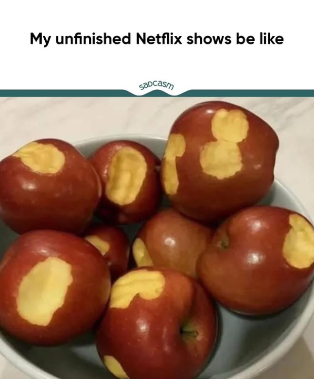 My unfinished Netflix shows be like Sadcasm