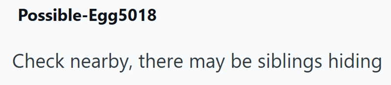 Possible-Egg5018 Check nearby, there may be siblings hiding