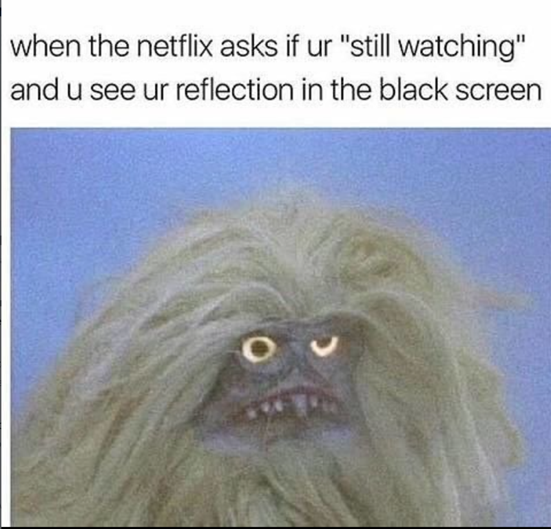 when the netflix asks if ur "still watching" and u see ur reflection in the black screen