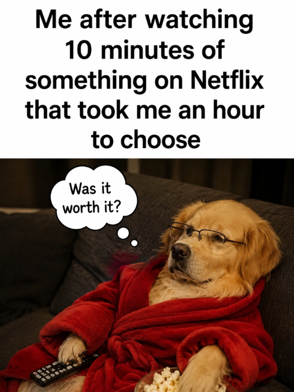 Me after watching 10 minutes of something on Netflix that took me an hour to choose Was it worth it?
