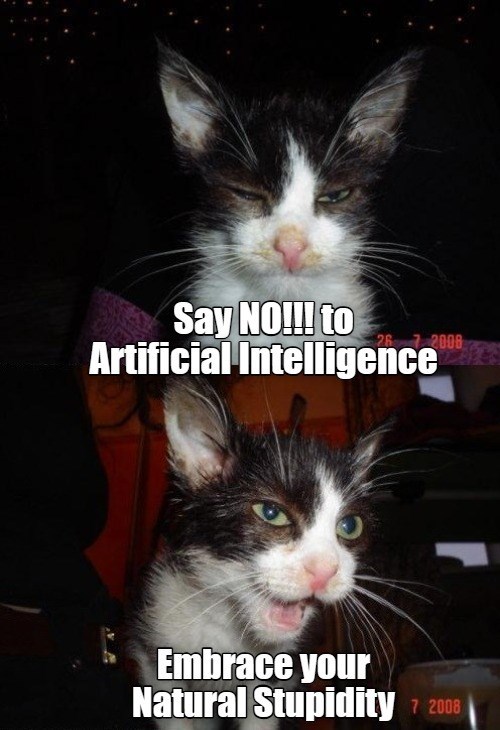 Sav NO!!! to Artificial Intelligence 72008 Embrace your Natural Stupidity 7 2008