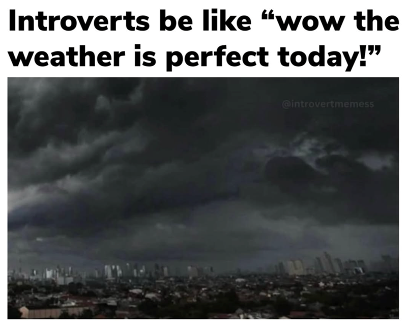 Introverts be like "wow the weather is perfect today!" @introvertmemess