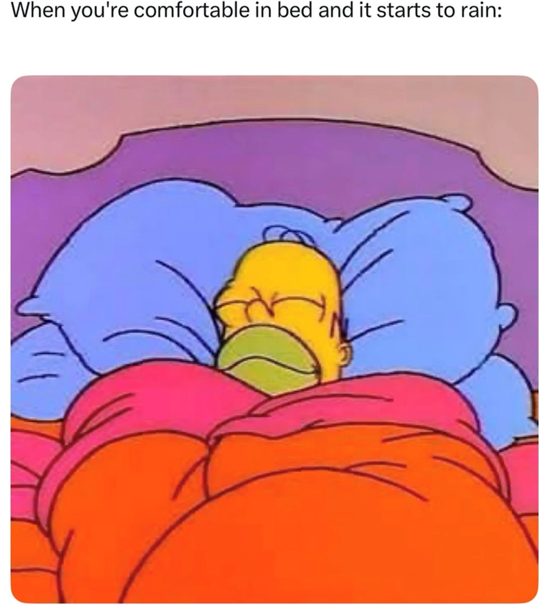 When you're comfortable in bed and it starts to rain: