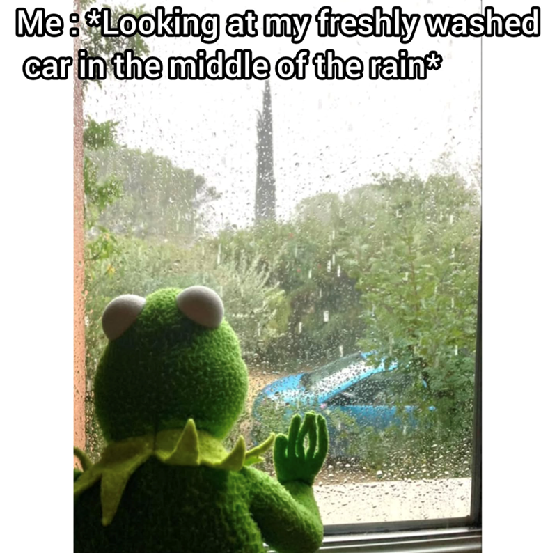 Me: *Looking at my freshly washed car in the middle of the rain*