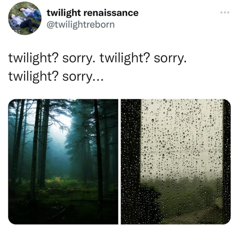 twilight renaissance @twilightreborn twilight? sorry. twilight? sorry. twilight? sorry...