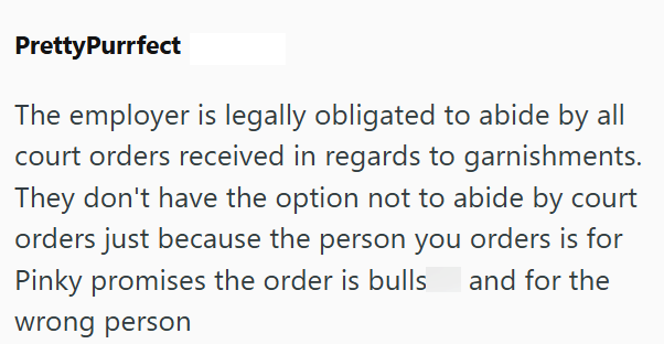 PrettyPurrfect The employer is legally obligated to abide by all court orders received in regards to garnishments. They don't have the option not to abide by court orders just because the person you orders is for Pinky promises the order is bulls and for the wrong person