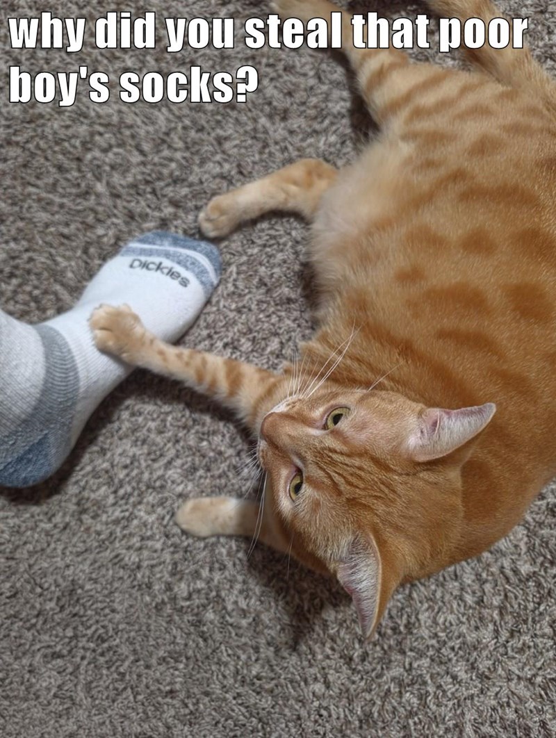 why did you steal that poor boy's socks? Dickies