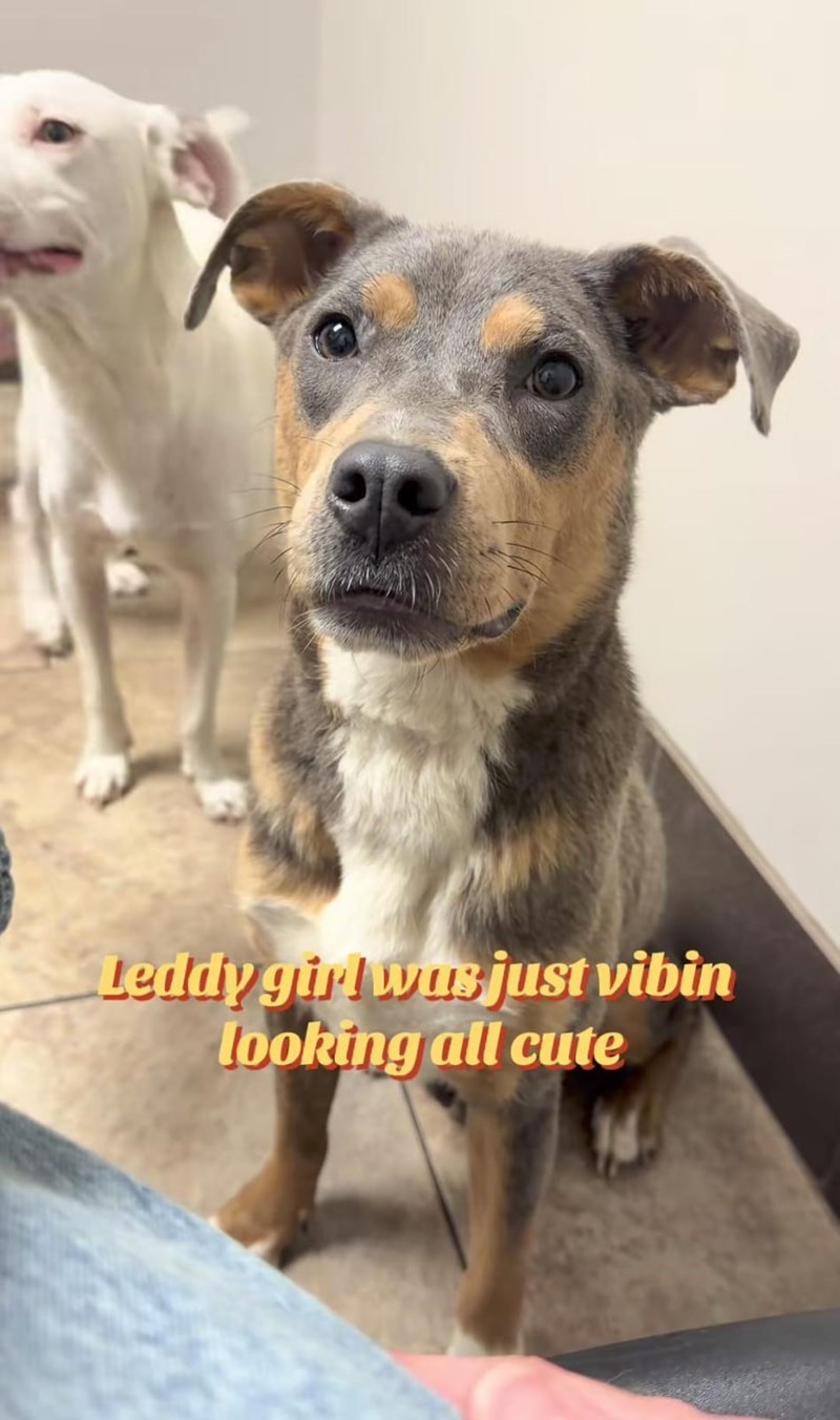 Leddy girl was just vibin looking all cute