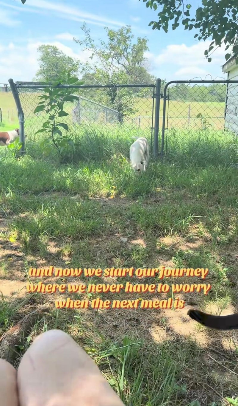 and now we start our journey where we never have to worry when the next meal is