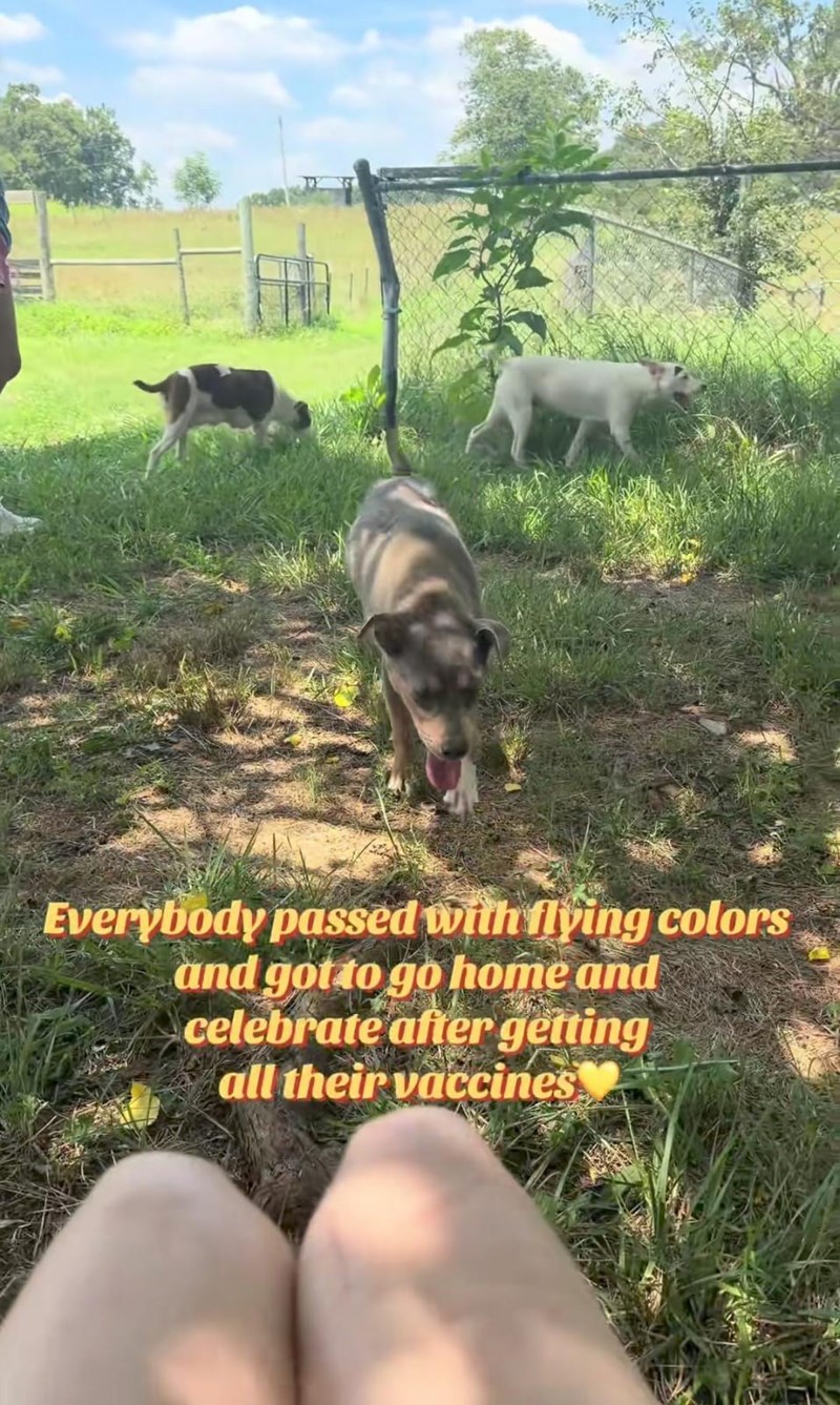 Everybody passed with flying colors and got to go home and celebrate after getting all their vaccines